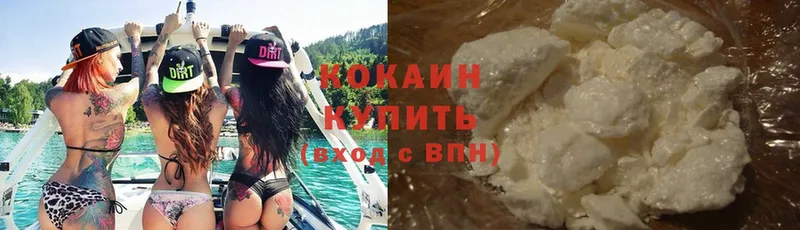 omg вход  Калязин  Cocaine Fish Scale 