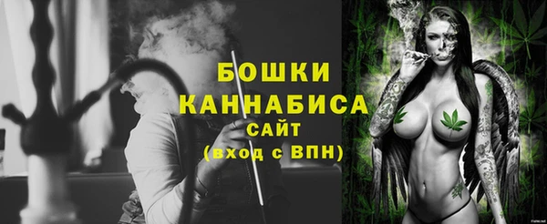 бошки Няндома
