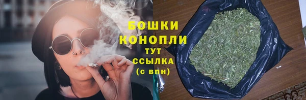 бошки Няндома